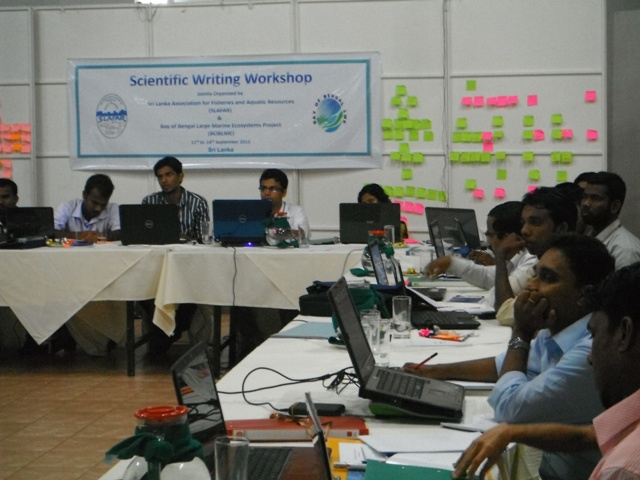Scientific Writing Workshop